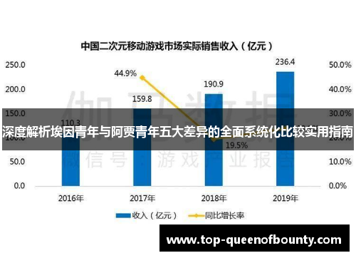 深度解析埃因青年与阿贾青年五大差异的全面系统化比较实用指南