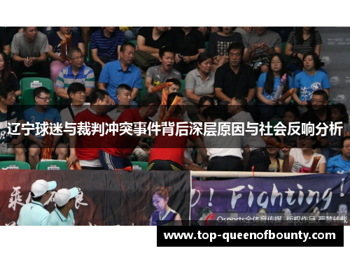 辽宁球迷与裁判冲突事件背后深层原因与社会反响分析 辽宁球迷与裁判冲突事件背后深层原因与社会反响分析